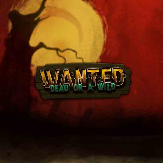 Wanted Dead or a Wild