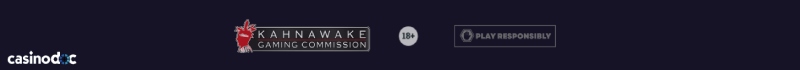 La licence de Rizz Casino