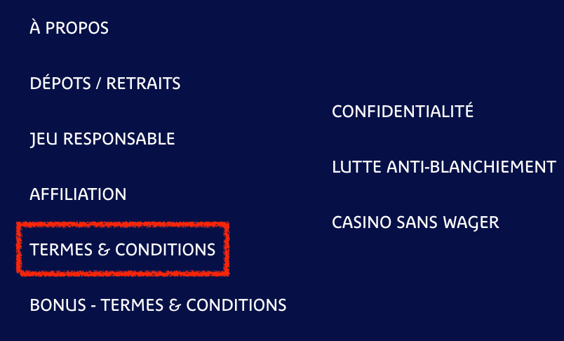 termes et conditions sur prince ali