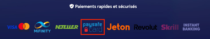 Shiny Wild accepte les cartes prépayées