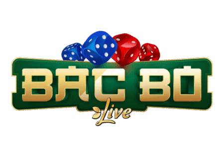 Bac Bo : Avis & Test 2025