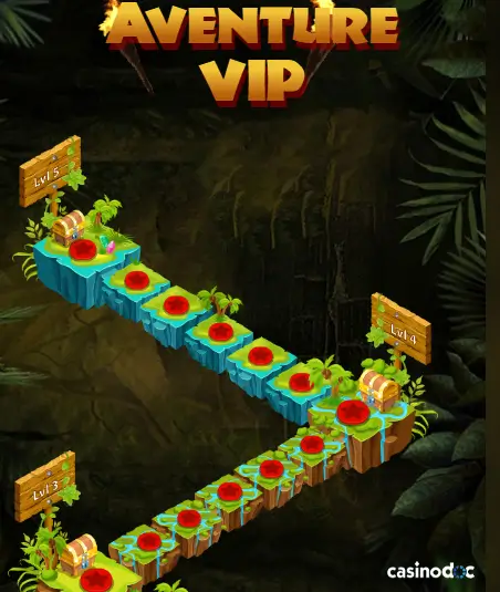 programme vip cashwin
