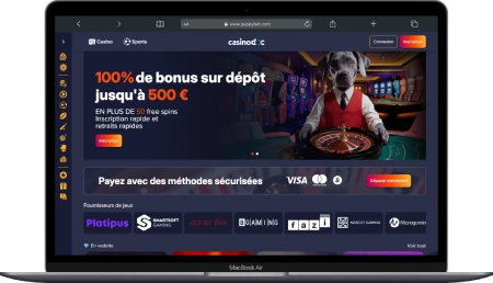 Interface sur ordinateur du casino PuppyBet