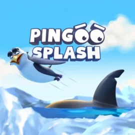 Pingoo Splash : Avis & Test 2025