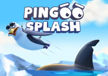 Pingoo Splash : Avis & Test 2025