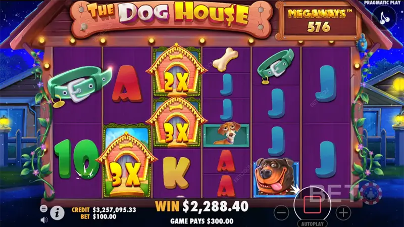 tours gratuits dog house