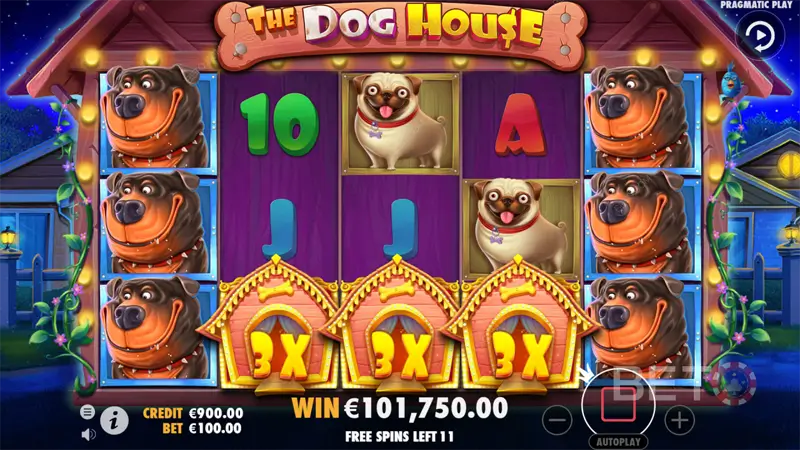 wilds et multiplicateurs dog house