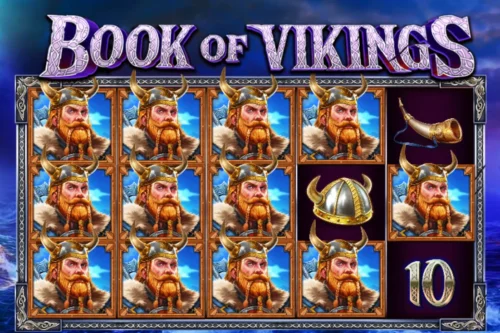 Book of Vikings