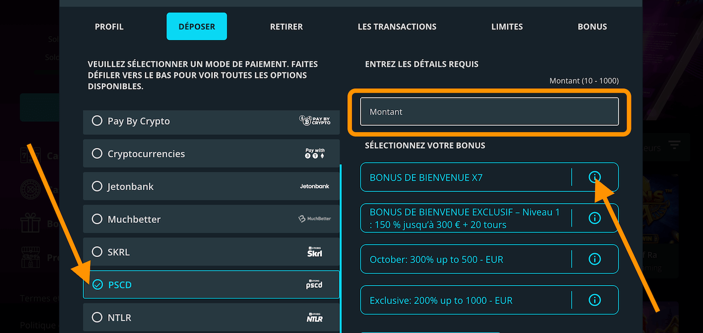 Processus de dépôt avec Paysafecard sur un casino en ligne étape 3
