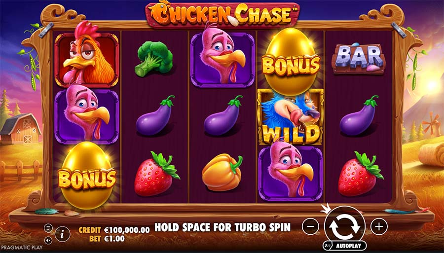chicken chase