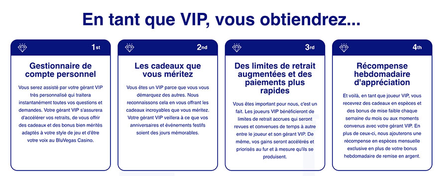 programme vip bluvegas