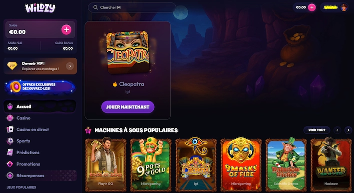 Ouverture du format de dépôt de Wildzy