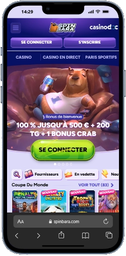 connexion mobile spinbara