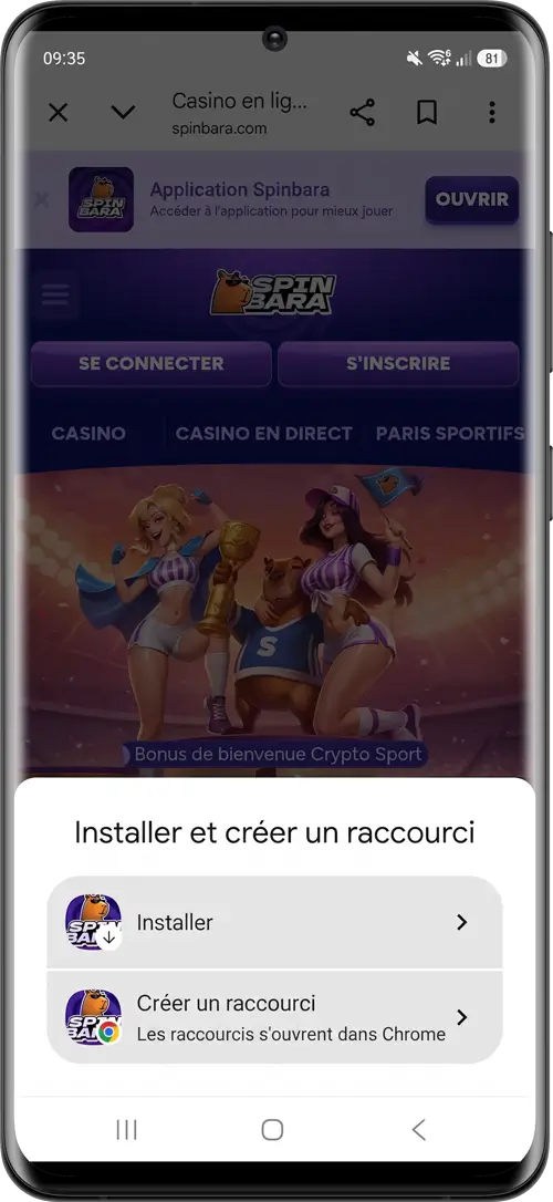 créer le raccourci étape 3 spinbara